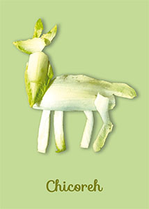 Chicoreh – die Silhouette eines Rehs gelegt aus Chicoree auf hellgrünem Grund