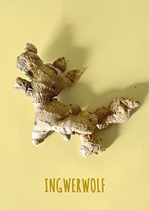 Ingwerwolf –Wortwitz; Ingwerknolle in Form eines WerWolfs auf gelbem Grund.