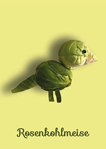 Rosenkohlmeise; Kalauer; ein aus Rosenkohl gelegtes Vögelchen / Kohlmeise auf gelbem Grund